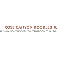 ROSE CANYON DOODLES ROSE CANYON  DOODLES